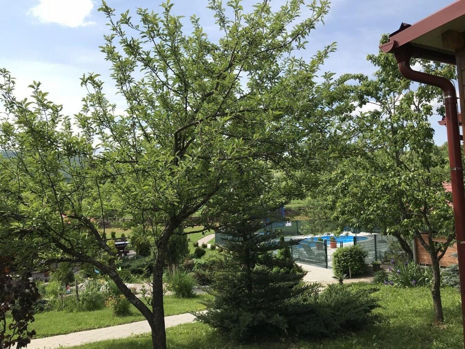 Apartments San - With Pool; Rakovica Εξωτερικό φωτογραφία